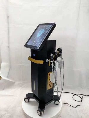 수직 EMRF 얼굴 피부 튼튼성 재표면 기계 4MHz 주파수