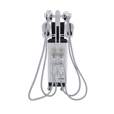 샐러리 사용 크리오리폴리시스  NEO 조각 가볍게 만드는 기계 수직