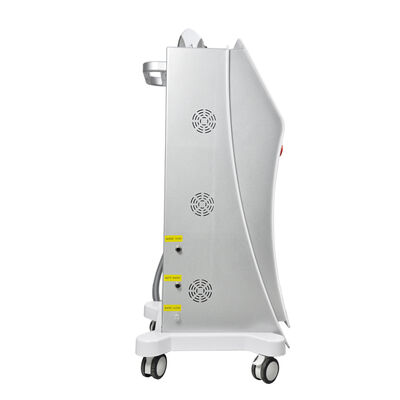 OPT 탈모 기계 고통없는 레이저 탈모 기계 수직 아름다움 기계