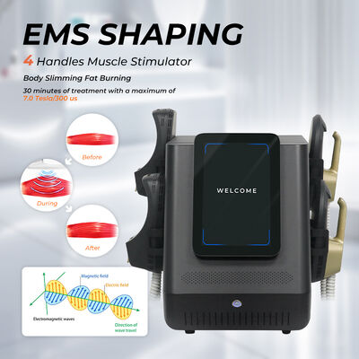 휴대용 EMS 몸 조각 기계 2800W 출력 전력 12인치 화면과 근육 자극을 위한 EMS 슬림 기술