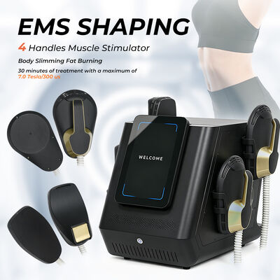 휴대용 EMS 몸 조각 기계 2800W 출력 전력 12인치 화면과 근육 자극을 위한 EMS 슬림 기술