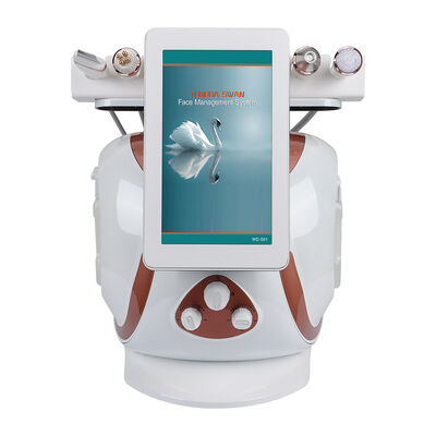 8 1개의 수소 산소 작은 거품 Hydrafacial 기계 다기능 얼굴 피부 관리 살롱 장비에 대하여